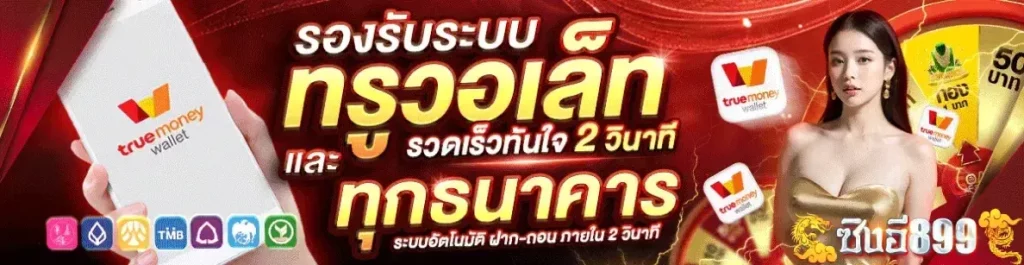 ทรูวอเล็ท by ซิงอี899